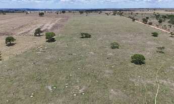 Imagem 6: Fazenda 25 alqueires