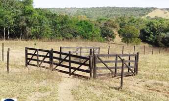 Imagem 4: Fazenda à Venda em Morrinhos (GO) 128 Hectares - Estrutura Completa