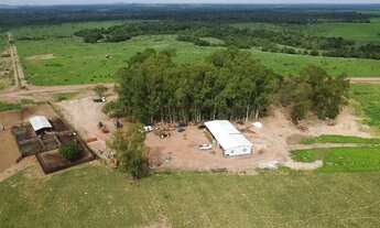 Imagem 2: Fazenda em Tocantins, Goianorte, Lavoura, Plantação, Soja