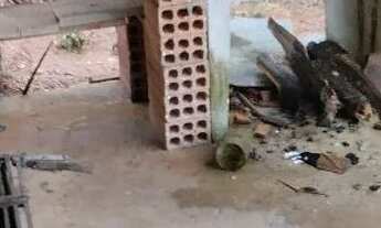 Imagem 4: Excelente chácara para descansar e curtir a natureza