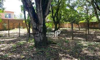 Imagem 7: Área à venda, 40000 m² por R$ 8.000.000,00 - Maiobinha - São Luís/MA