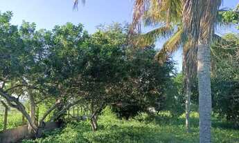 Imagem 3: Vendo fazendinha em coracao de maria