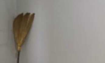 Imagem 3: Casa com terreno Amplo 384,18 m2 PR - Borrazópolis