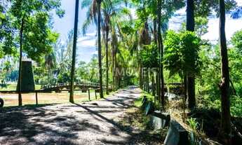 Imagem 7: Lindo lote comercial com 496m2 à venda no Swiss Park - Campinas