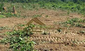 Imagem 3: Fazenda à venda com 2.150 hectares na região Januária-MG