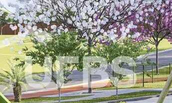 Imagem 4: Lote no Jardins Londres