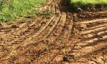 Imagem 4: CHÁCARA BELA VISTA DE GOIÁS