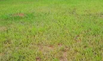 Imagem 3: TERRENO EM CONDOMÍNIO - CONDOMÍNIO TERRAS DE SANTA CRUZ - SP