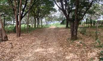 Imagem 5: Fazenda 213ha, com casa sede e casa de caseiro, duas nascentes, represa, Jaboticatubas