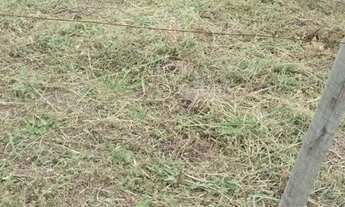 Imagem 2: TERRENO Marataizes 10x20 30mil