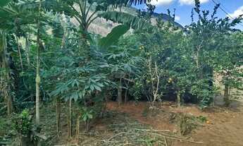 Imagem 2: Venda-se este sitio de 1.200 M2 no Município de Atílio Vivácqua-ES