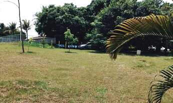 Imagem 7: Chácara para venda oportunidade ponte Alta Norte - Brasília - DF