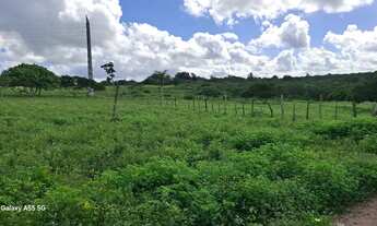 Imagem 7: Excelente área de terra de 9. 5t Distrito TiquaruçúR$ 380.000t