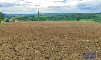Imagem 7: Sítio/Fazenda à Venda, 48,25 alqueires por R$ 4.500.000 Cód. ch2558