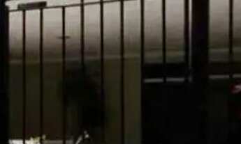 Imagem 6: APARTAMENTO - PINHEIROS - SP