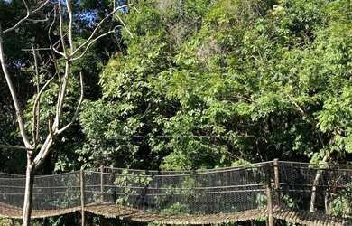 Imagem 8: TERRENO EM CONDOMINIO RESIDENCIAL ALDEIA DA MATA