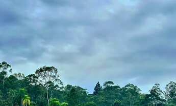 Imagem 2: Terreno em área valorizada na divisa