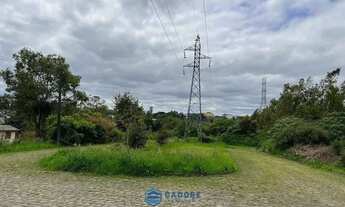 Imagem 6: Terreno RS122 com 29.096m² saida para Flores Cunha