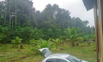 Imagem 6: Sitio am 010 km52
