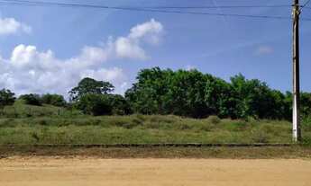 Imagem 7: Lote medindo 400 m² no Loteamento RGA, no Mosqueiro