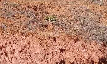 Imagem 6: Venda Nova do Imigrante - Vendo Lotes no Bairro Minete - Área Nobre da cidade