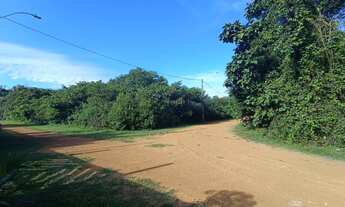 Imagem 6: /Vendo lote de esquina próximo à Paricatuba