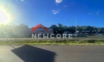 Imagem 4: Lote em Rs 239 - Alexandria - Parobé/RS