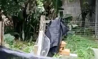 Imagem 5: Vende-se Casa térrea no morbidelli