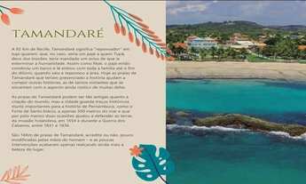 Imagem 3: TAMANDARÉ - Flat 23 m² a preço de investidor