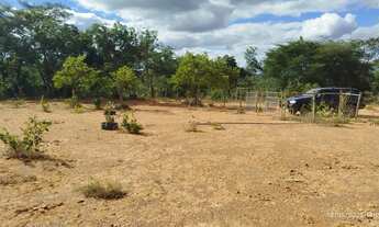 Imagem 7: Chácara 1000mt Chácara com venda por R$20.000