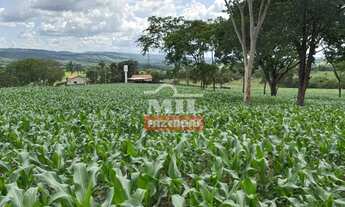 Imagem: Imóvel para venda tem 500 metros quadrados
