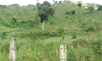 Imagem 3: Linda fazenda no Vale do Mucuri