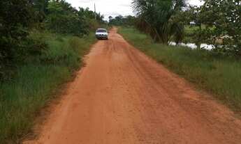 Imagem 5: Vendo esta fazenda formada!!