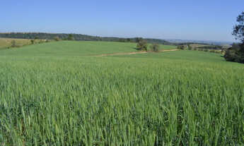 Imagem 2: Sorocaba Região 17.25 Alqueires (Ocasião