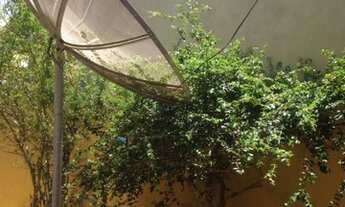 Imagem 2: Casa temporada São Francisco de Itabapoana / Santa Clara