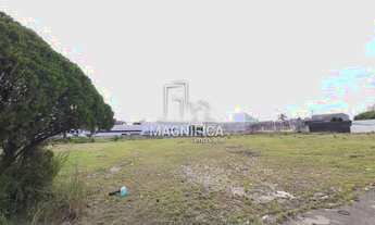 Imagem 4: Maravilhoso terrreno na Avenida Republica Argentina 5374. Bairro Novo Mundo, do lado do te