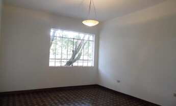 Imagem 3: Sala comercial para locação, Prado Velho, Curitiba