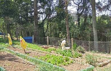 Imagem 5: Chácara em Mairinque