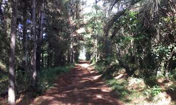 Imagem 2: Barbada sítio no cantagalo