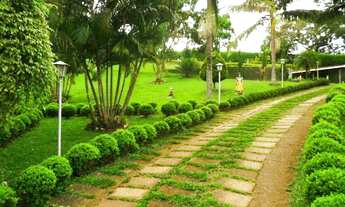 Imagem: AF- Chácara 500 mil entrada R$16.500