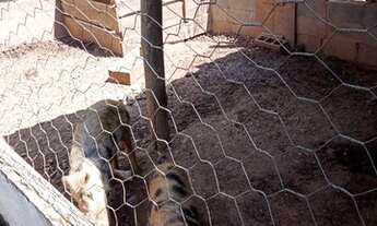 Imagem 2: Chácara em Mairinque