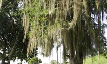 Imagem 4: Condomínio Pedra Verde Maricá - Venha morar cercado da natureza - Lotes 900m²