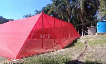 Imagem 6: Sítio 24.200 m² Hidroponia e Cultivo com 2 dormitórios à venda, 24200 m² por R$ 1.500.000