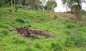 Imagem 7: Área para Venda em Cachoeiras de Macacu, Agro Brasil