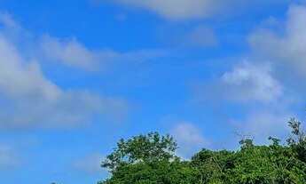Imagem 3: Terreno e lote em Sucatinga e Sitio Santo Antonio menor preço