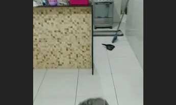 Imagem 3: ALUGUEL DE QUARTO (meninas