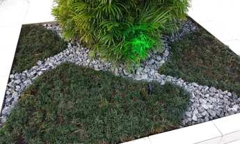 Imagem 2: Praia Grande - Casa Padrão - Flórida