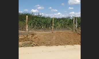 Imagem 2: Propriedade a venda 4 tarefas + palmas