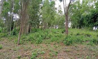 Imagem 6: Área para Venda em Cachoeiras de Macacu, Agro Brasil