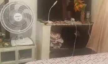 Imagem 9: AN- CASA TOP Casa com 2 dormitórios